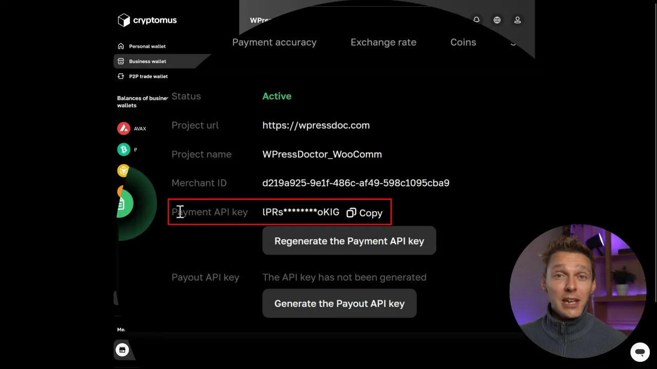 Retrieve the payment API key from your Cryptomus account once your project is active